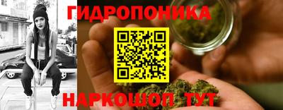 PSILOCYBIN Донской