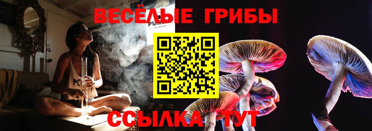 Нальчик  Галлюциногенные грибы Psilocybe  Вход с VPN  Галлюциногенные грибы ЛСД 