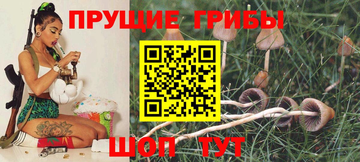 Псилоцибиновые грибы прущие грибы Нальчик
